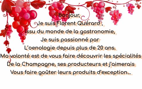 Florent Quérard. Qui suis je ?