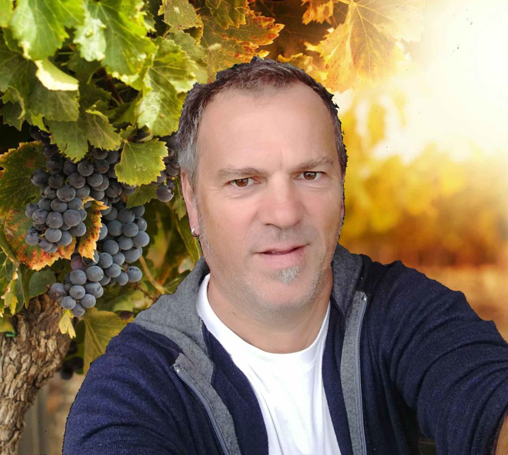 photo de Florent Quérard dans un vignoble champenois
