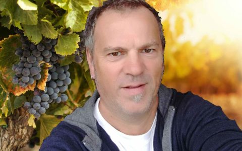 photo de Florent Quérard dans un vignoble champenois